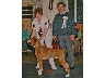 Essex BC Dog and Pup of the Year 2001