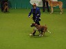 In the Group ring Crufts 2004