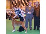 With the judges - Crufts 2006